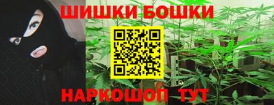 соль ск Можга